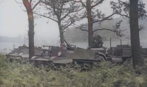 Bren Gun Carriers in Bradgate Park
